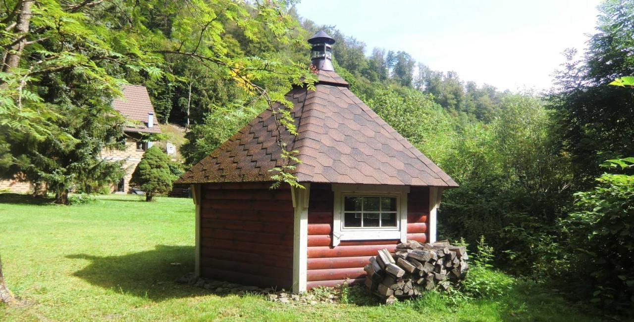 Haus Am Wolfsbach Leilighet Zorge Eksteriør bilde