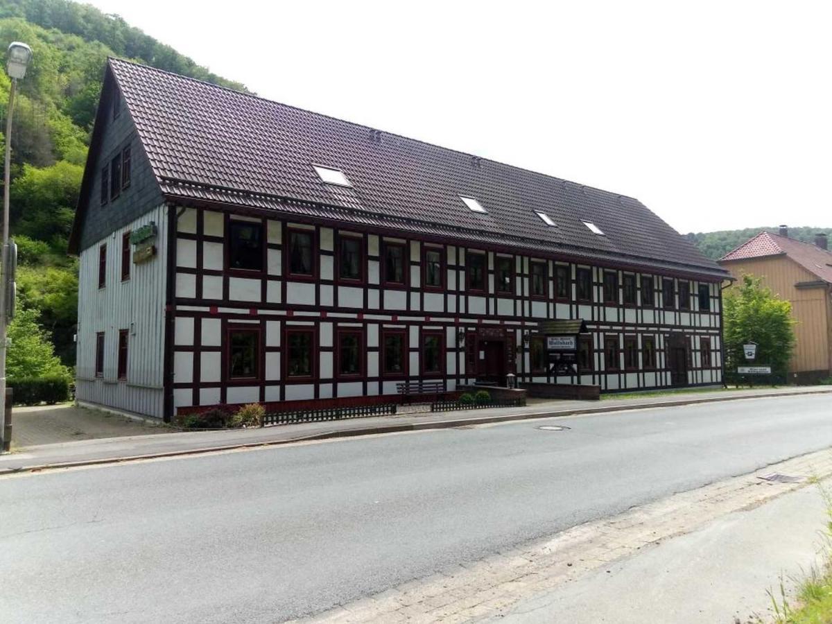 Haus Am Wolfsbach Leilighet Zorge Eksteriør bilde