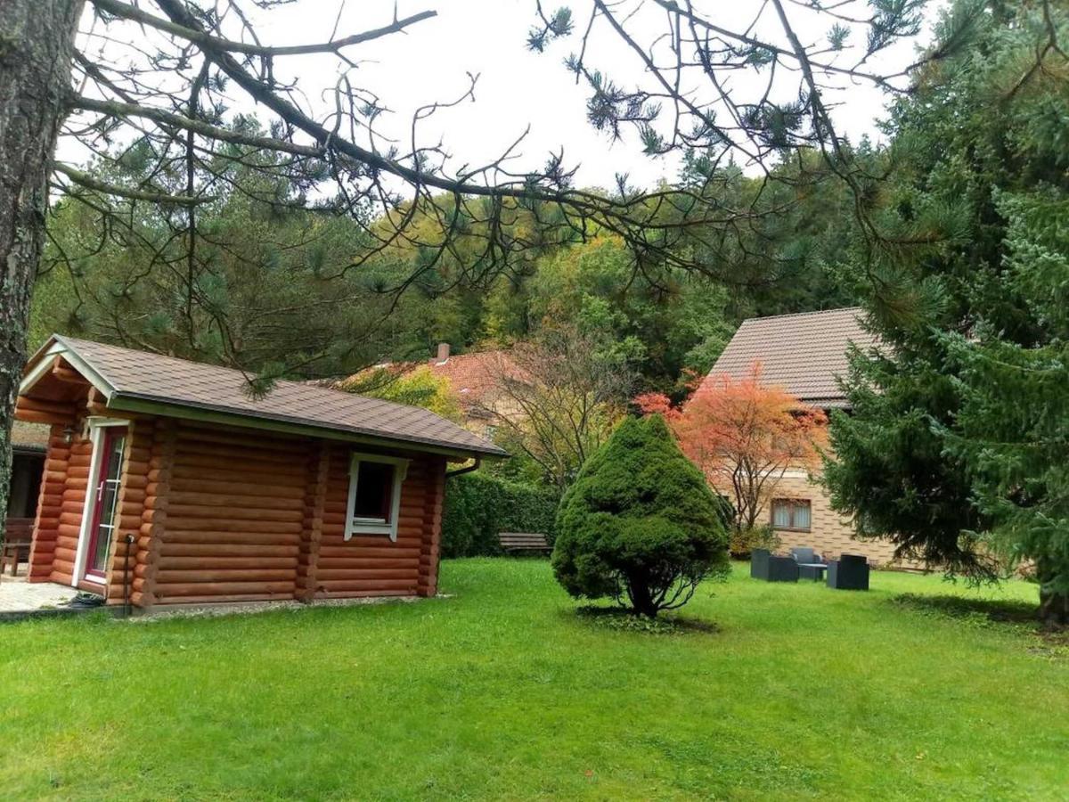 Haus Am Wolfsbach Leilighet Zorge Eksteriør bilde