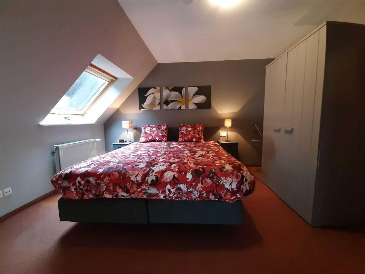 Haus Am Wolfsbach Leilighet Zorge Eksteriør bilde