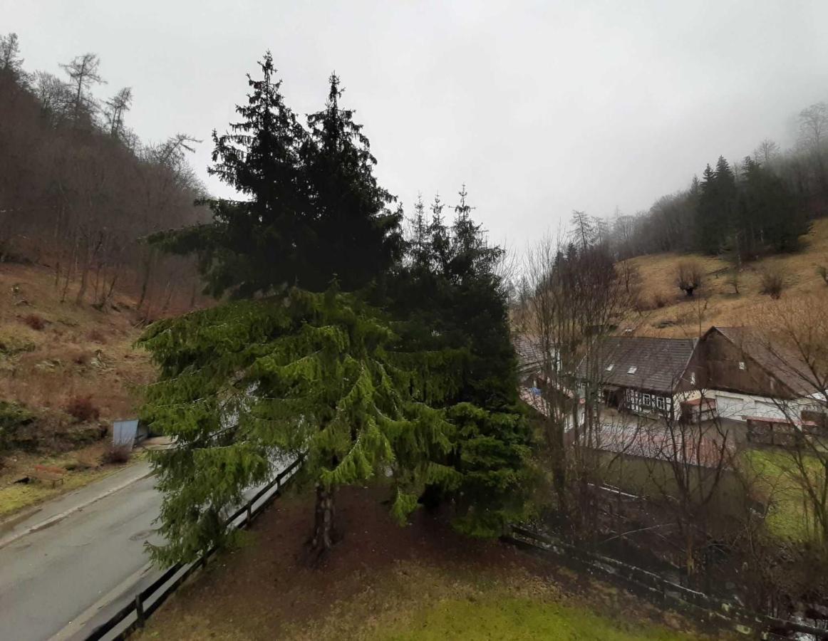 Haus Am Wolfsbach Leilighet Zorge Eksteriør bilde